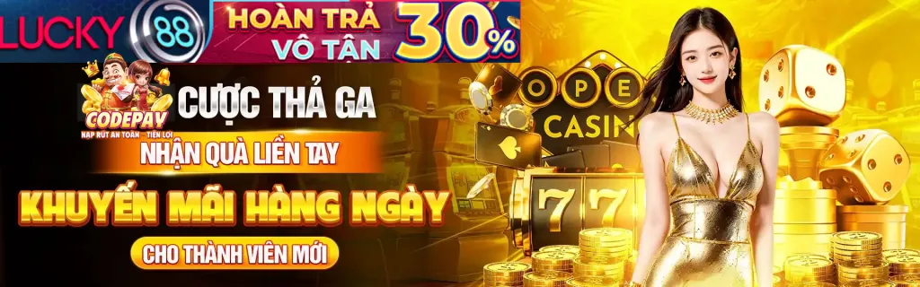 Minh họa câu hỏi thường gặp SODO666